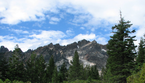 Evergreens and mountain peaks