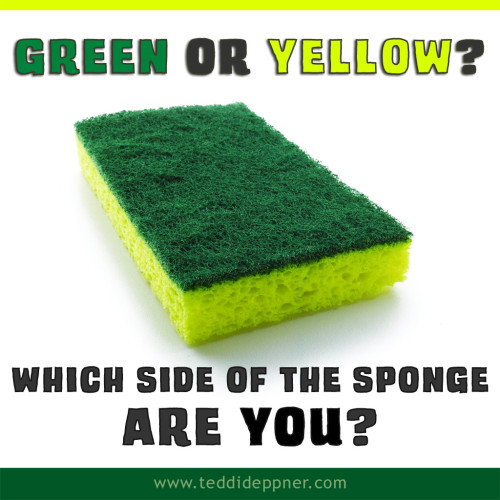 sponge-green-or-yellow